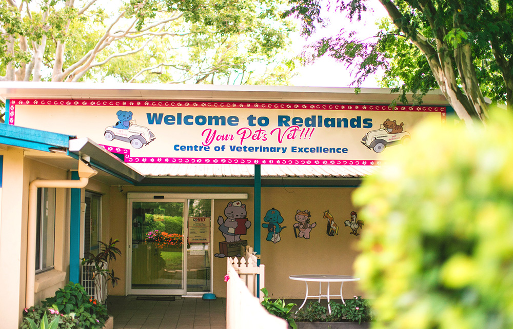 Grooming Services at Redlands Vet