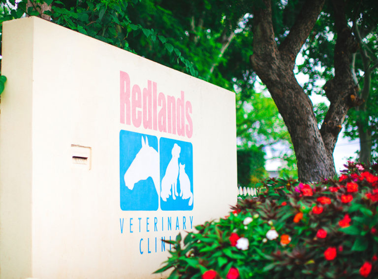 Our Facilities Redlands Veterinary Clinic