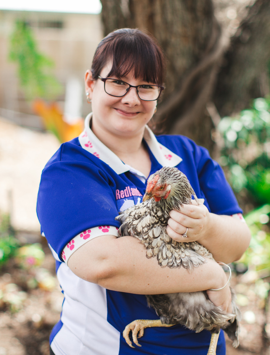 Poultry and Bird Services at Redlands Vet