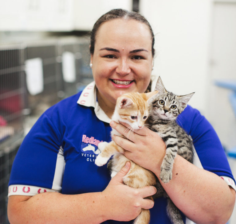 Our History Redlands Veterinary Clinic