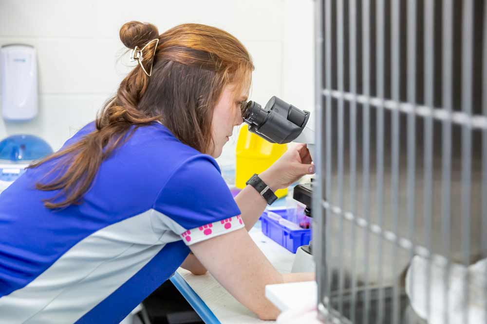 Our Facilities at Redlands Vet Our Facilities at Redlands Vet