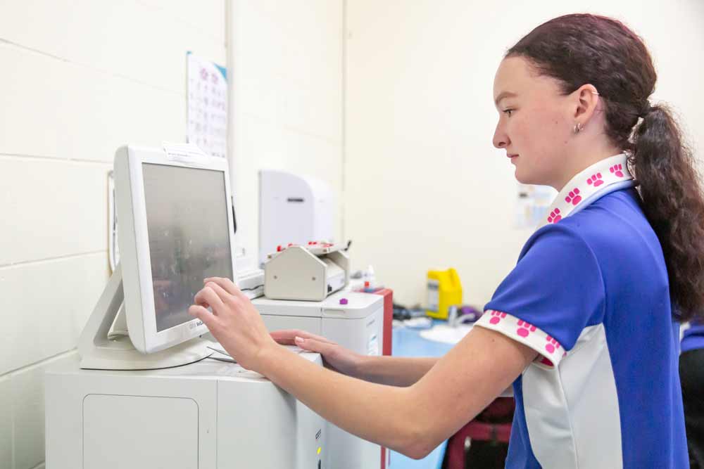 Preventative Health Programs at Redlands Vet